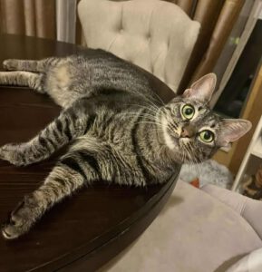 MISHI_01.10.2023
