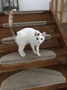 SELMA&LUKAS_15.04.2024