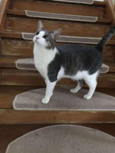 SELMA&LUKAS_15.04.2024