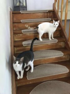 SELMA&LUKAS_15.04.2024