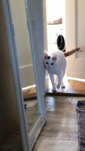 SELMA&LUKAS_15.04.2024