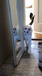 SELMA&LUKAS_15.04.2024