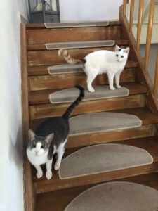 SELMA&LUKAS_15.04.2024