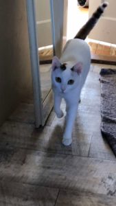 SELMA&LUKAS_15.04.2024