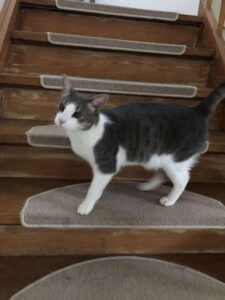 SELMA&LUKAS_15.04.2024