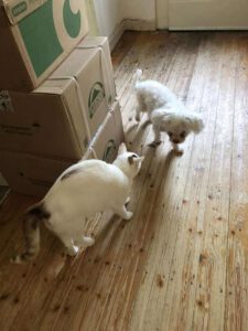 SELMA&LUKAS_15.04.2024