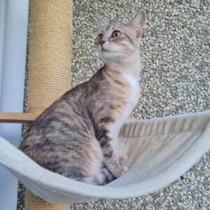 ENEVKA_07.2024