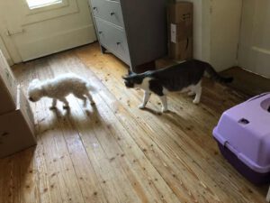 SELMA&LUKAS_15.04.2024