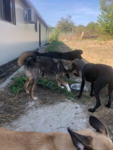 Tizia_jan25
