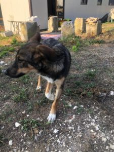 Tizia_jan25