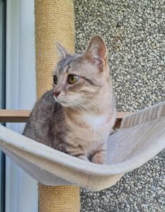 ENEVKA_07.2024