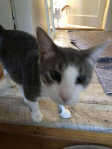 SELMA&LUKAS_15.04.2024