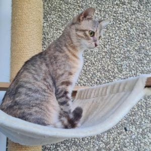 ENEVKA_07.2024