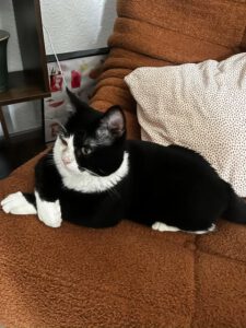 PANDA_04.2023