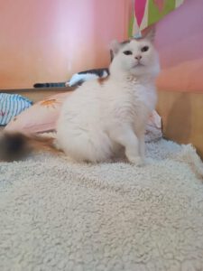 ANIKA_23.10.2023