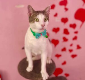 547212680_2033287240537935_4394558805120417153_n