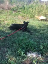 Onyx_Sep24