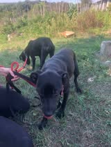 Onyx_Sep24