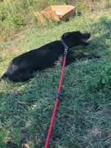 Onyx_Sep24