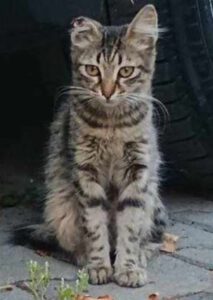LYDI_04.2025