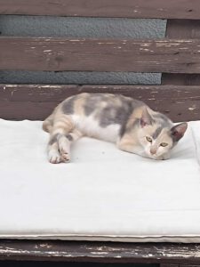 NINA_05.2025