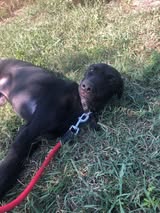 Onyx_Sep24