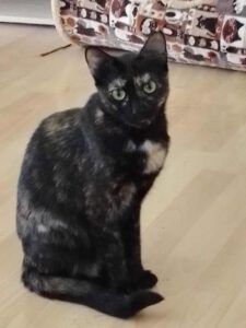 KITTI