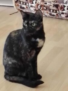 KITTI
