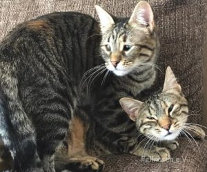 TONI&TOMKE_05.2.2019