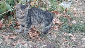LYDI_04.2025