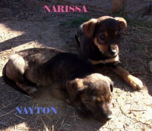 Nayton_Aug25