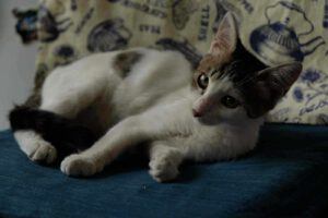 DONNA_01.06.2025