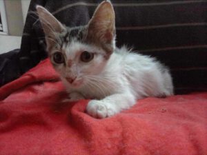DONNA_01.06.2025