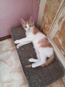Russlan_Jun25