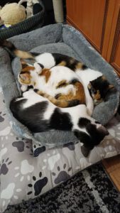 KASIOPAIA, KAIRA & ELPIDA