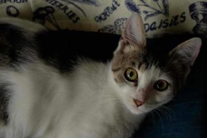 DONNA_01.06.2025