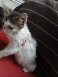DONNA_01.06.2025