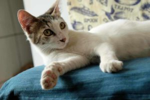 DONNA_01.06.2025