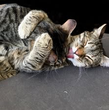 TONI&TOMKE_05.2.2019