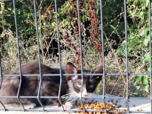 MAYLO_22.05.2025