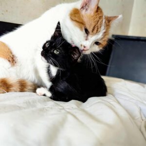 KAMI & PERLA_2022/2025