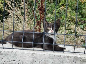 MAYLO_22.05.2025