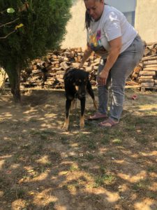 BODI_2022