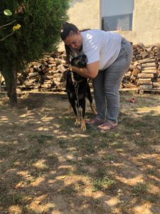 BODI_2022