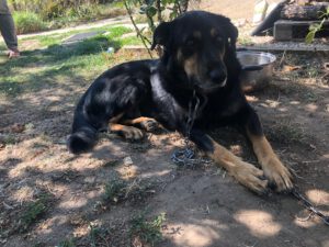 BODI_2022