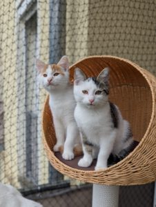 BUBU & BAZUKA_05.2025