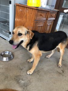 COCO_ 2019