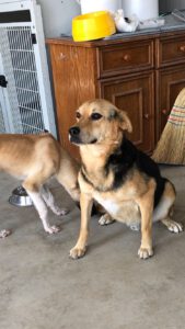 COCO_ 2019