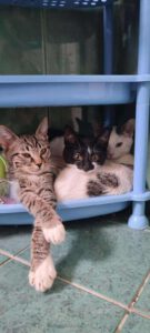 Cynthia_Catelyn_Coolio_Apr25
