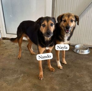 Nando_Feb21_1